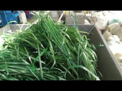 دستگاه خرد کردن مواد نرم تک محور